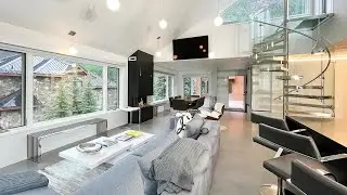 Telluride Colorado Real Estate Vacation Property Video by ICE Design