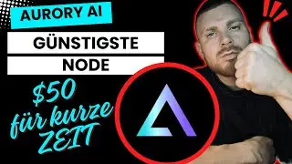 Aurory AI: Beste Node f&uuml;r Passives Einkommen ?