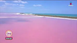 &iexcl;No podr&aacute;s creer el rosa de este lago! Las Coloradas en Yucat&aacute;n! | Sale el Sol