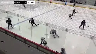 KC Scouts 10U AA vs Arkansas Ice Hogs