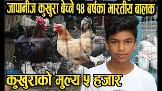 नेपालमा जापानीज कुखुरा बेच्ने १४ वर्षका भारतीय बालक │Japanese Bantam │Nepal Chitra
