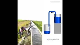 Unique Farming technique | Siphon for irrigation | Using Siphon principle