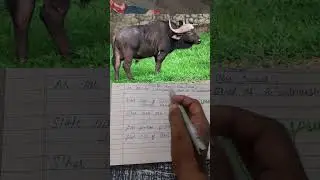 state symbols of Bihar#shortsfeed #geology#geography#shorts #trending#reels#upsc knowledge