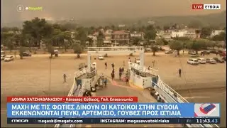 Η αγανάκτηση των κατοίκων της Εύβοιας συνοψίζεται στην φωνή αυτής της γυναίκας!