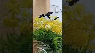 DIY paper craft easy crow #shorts #youtubeshorts #shortsfeed