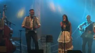 The Old Timey String Band