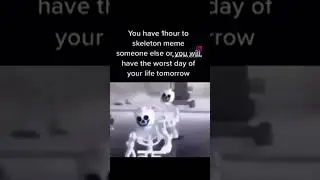#1133 #skeletonmeme #memes #meme