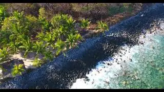 Overhead Hover Aerial of Palm Tree Lined Coast with Clear Water Waves Crashing