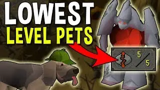 These Players Received the Lowest Level Pets in OSRS History! [OSRS]
