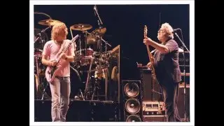 Grateful Dead   Desolation Row  Dec 31 1986