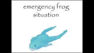 Emergency frog situation ￼RAW