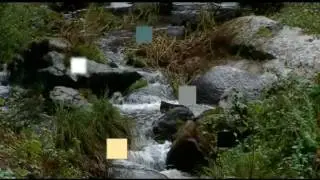 Okna Kawka Deuctone - Inspiracja.wmv