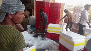 S.R fish paking varalaxmi ice plant denduluru