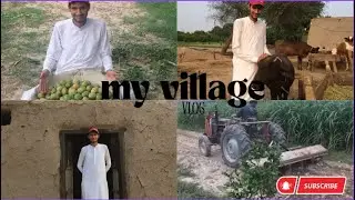 My Village vlog # 3