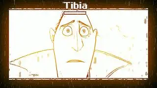 when tibia calls, gondor responds