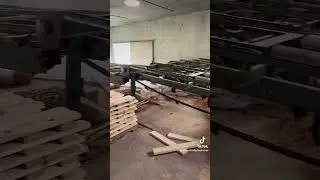 Milling Cedar Decking for Dream Projects! #logcabin #loghome #cabin #cedar #dreamhome #cedardecking