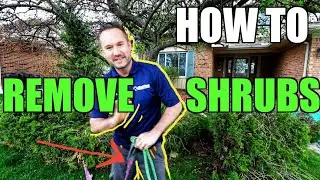 How to Remove Shrubs & Bushes from with a Truck, Rope & Carabiner | The WORST Way🌳Landscaping