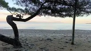 1 Hour of Ocean Waves 🌊 | Natural Beach Sounds for Sleep & Meditation