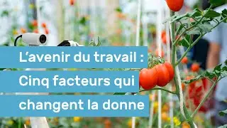 L&rsquo;avenir du travail : Cinq facteurs qui changent la donne - Survol