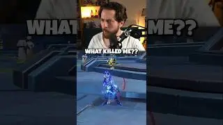 DON'T USE The New Pet In Genshin Impact...