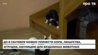 Помоги животным
