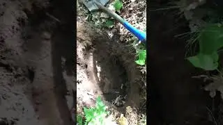 LP-42. #коп по войне#metal detecting WW2 #поисксокровищ