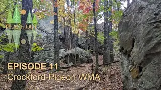 Ep. 11 Crockford-Pigeon WMA
