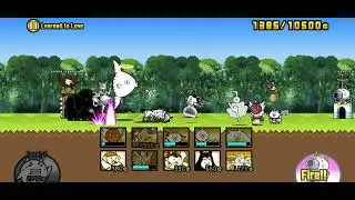Battle Cat - Learned to Love - 4 Star lineup