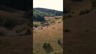Fundătura Ponorului, Hunedoara, Romania - Palma lui Dumnezeu