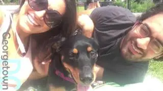 Lois Lane's 1st Adoptaversary