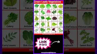 Green Leafy Vegetables Names
