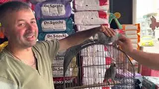 2 KONUŞAN JAKO YU EŞE ATTIK SİZCE KONUŞMAYI UNUTUR MU BUNLAR BİDE KAVGA EDER Mİ ?