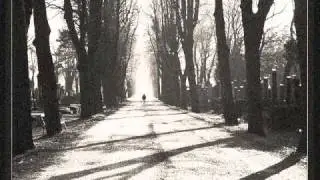 Stoney Moe- Gradeaus