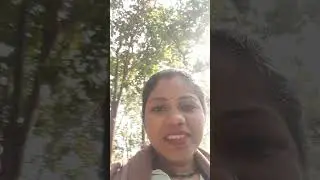 Natural beauty🌲🌳#song #love #ytshorts #minivlog #viralreels #reels #viral #trendingshorts #minishort