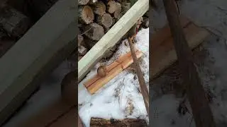 Trying to CRACK a CoCoNut with Deadfall TRAP! #trapping #survival #shorts #homemade #heavy #fail