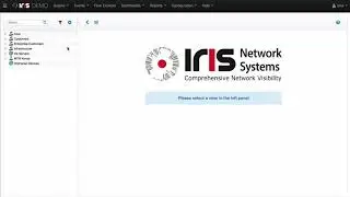 IRIS за 4 минуты
