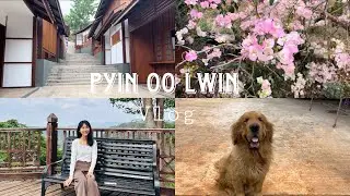Pyin Oo Lwin「vlog」