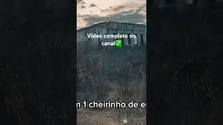 V&iacute;deo sinistro, completo no canal u