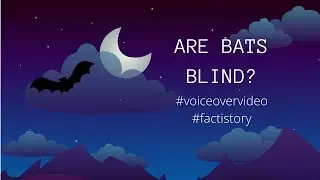 Are Bats Blind?! | #shorts | #voiceovervideo | #factistory