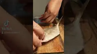 Steamed Talakitok