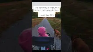 Gentle Parenting Support 🌳