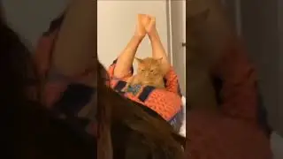 Cat bite girl ass