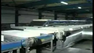 Processo di produzione dei materassi in lattice naturale