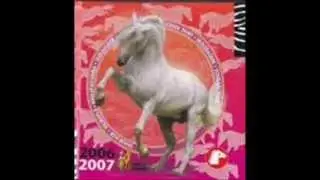 Pony Club-os Cuccok
