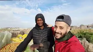 يجب عليكم زيارة #واد_سوف 👌🇩🇿(الحلقة الثانية)