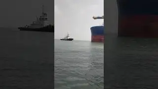 #indian 🇮🇳 Dolphin# tag ⚓🛥⚓🛥⚓🛥❤❤ #video