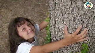 All About Trees! | Educational Song for Kids | Fun Learning Songs for Toddlers & Preschoolers