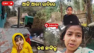 ଆଜି ଆମେ ରାତିରେ କଣ ଛାଙ୍କିଲୁ।। odia family vlog ❤️ Nandini Chandini vlog 👍