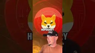 SHIBA INU COIN BURNS ARE VERY IMPORTANT!