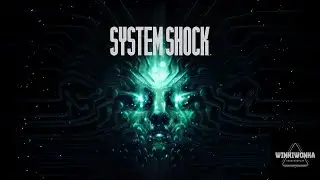 KEHIDUPAN SEORANG HACKER PADA TAHUN 2072 | System Shock #1